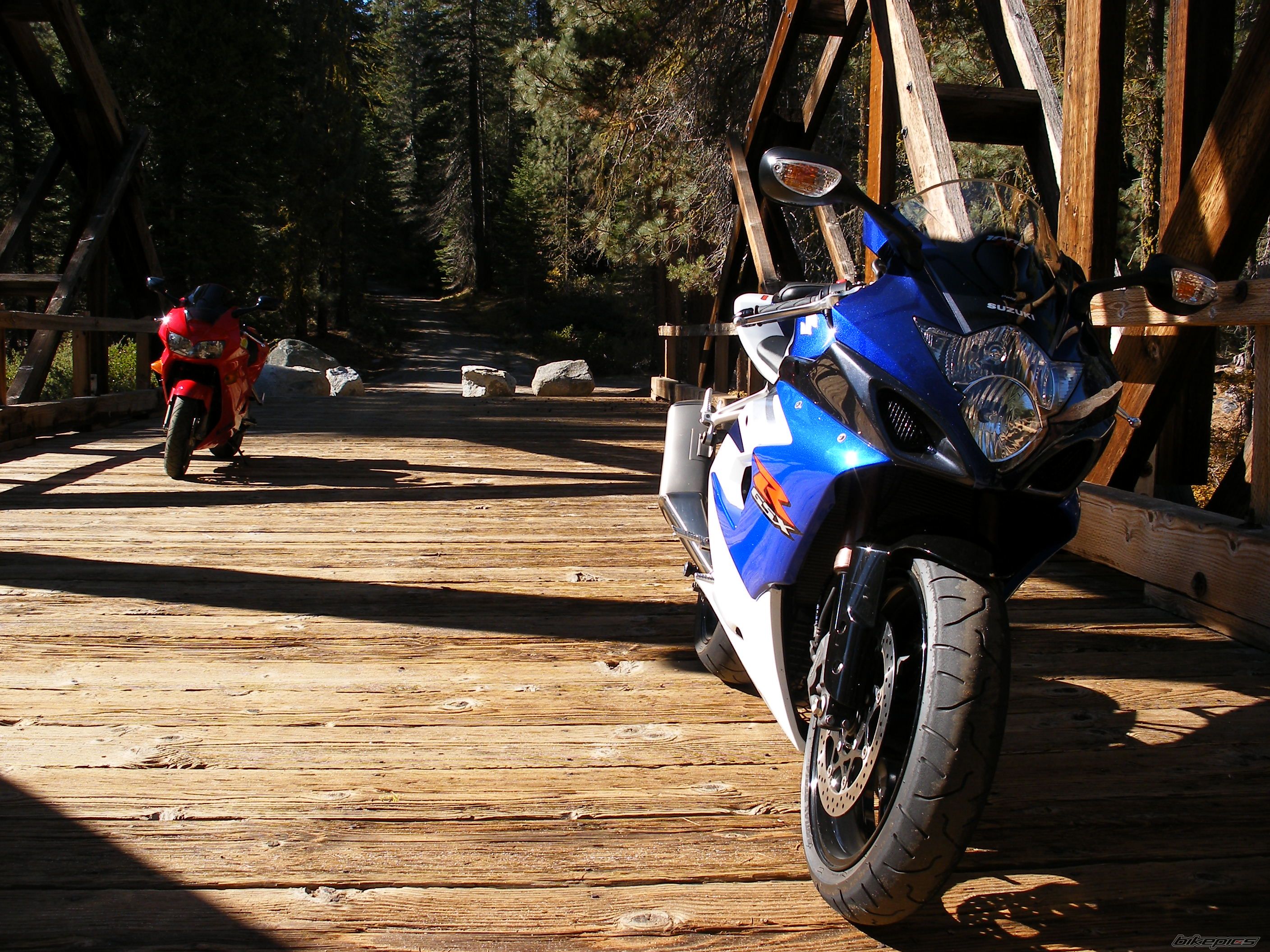 2005 SUZUKI GSX R 1000 | Picture 1075523 motorcycle photo