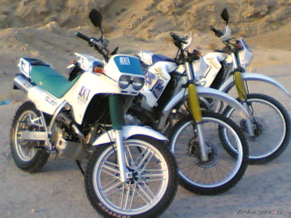 1998 HONDA AX 1 250 | Picture 1075564 motorcycle photo