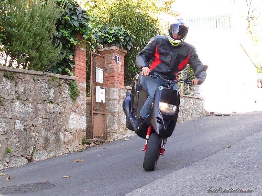 1997 PIAGGIO TPH 50 | Picture 1075951 motorcycle photo