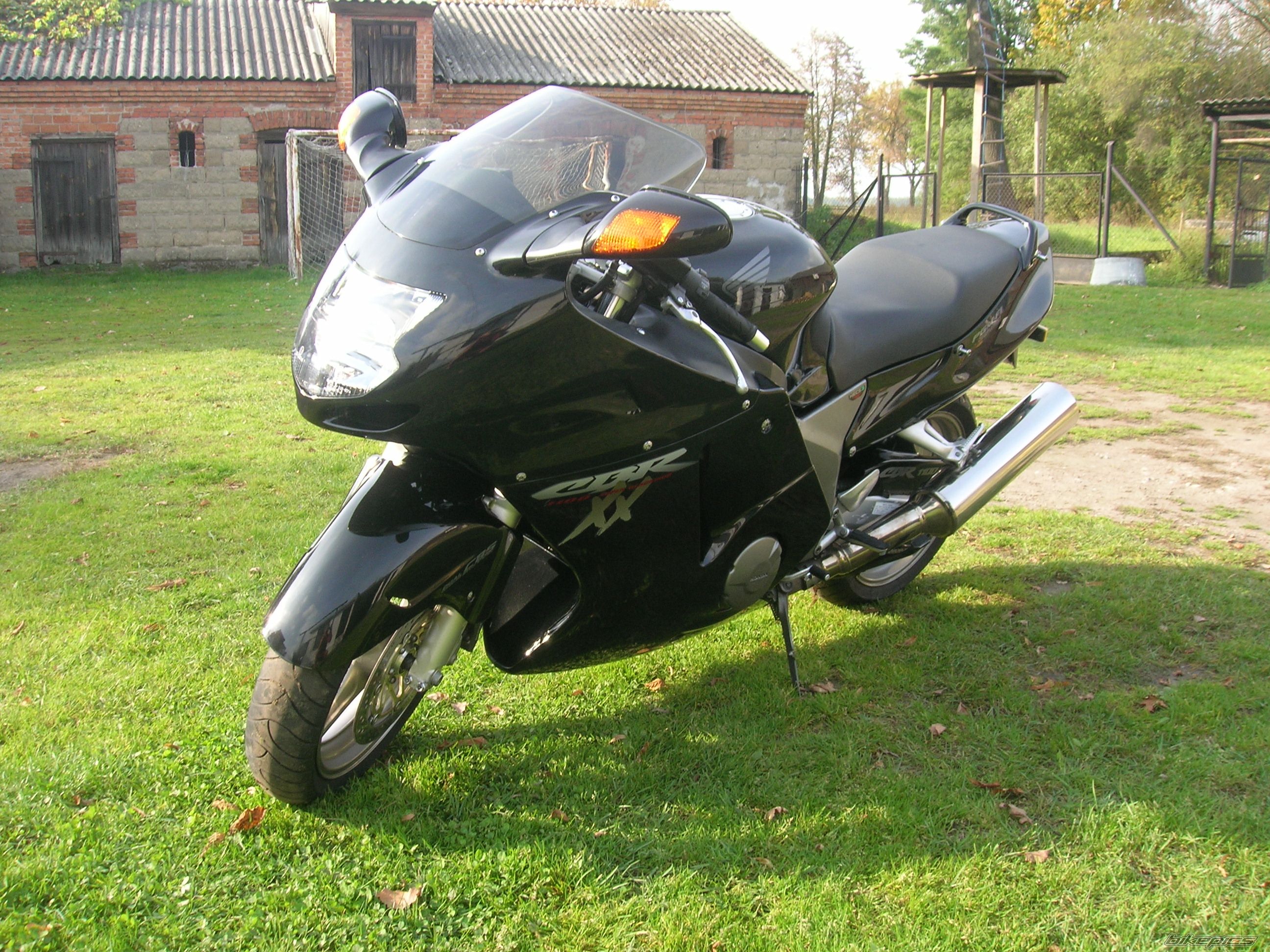 2000 HONDA CBR 1100 BLACKBIRD | Picture 1076350 motorcycle photo