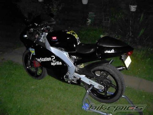 2003 APRILIA RS 50 | Picture 1076929 motorcycle photo