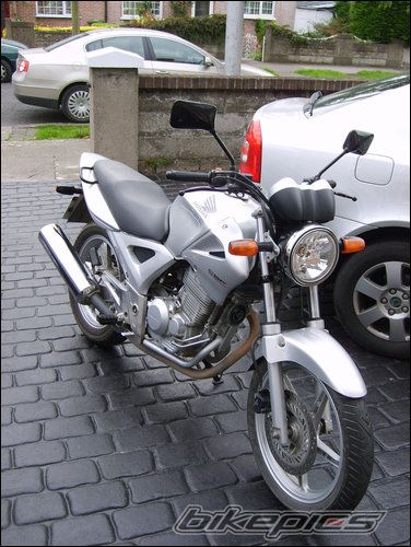 2006 HONDA CBF 250 | Picture 1077953 motorcycle photo