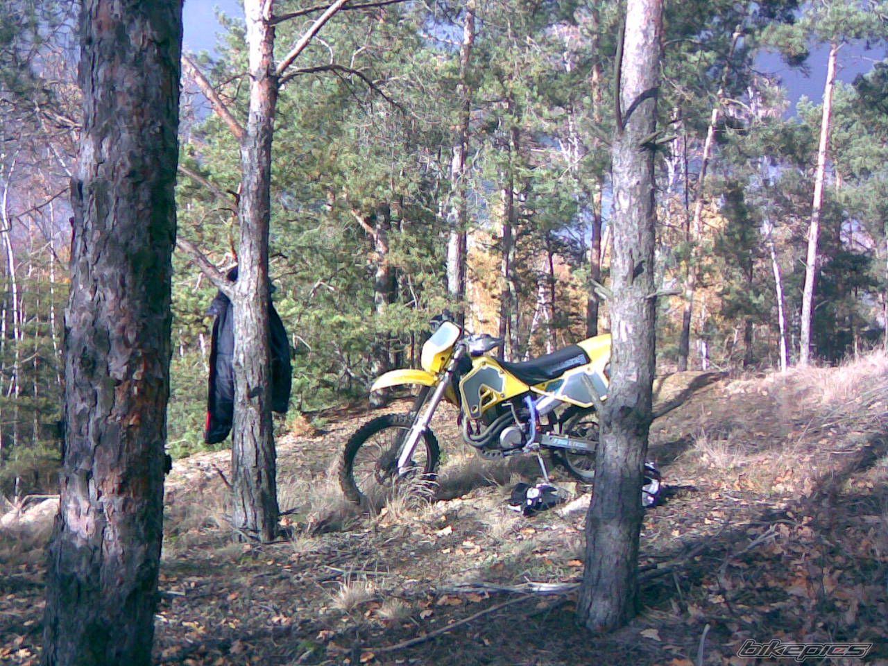 1995 HUSABERG FE 600 | Picture 1078201 motorcycle photo
