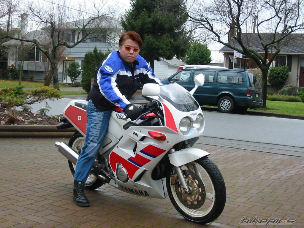 1989 YAMAHA FZR 250 | Picture 107828 motorcycle photo