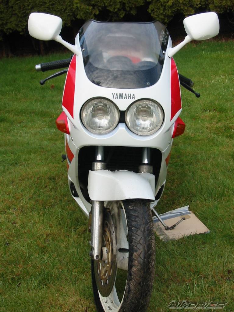 1989 YAMAHA FZR 250 | Picture 107833 motorcycle photo