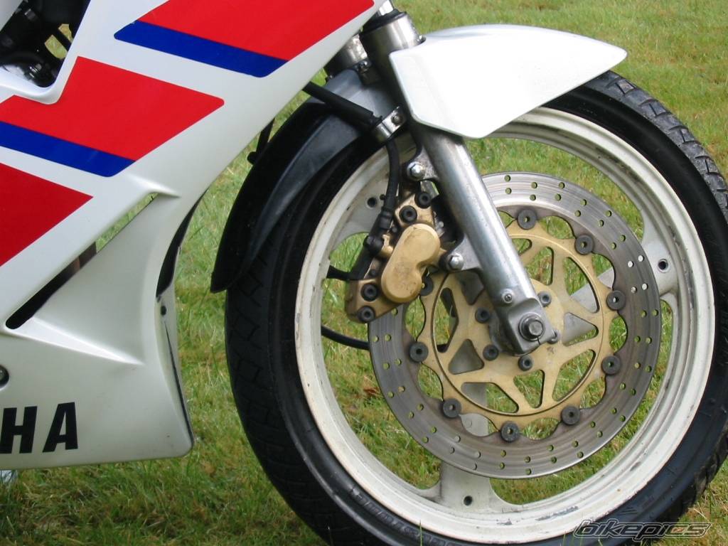 1989 YAMAHA FZR 250 | Picture 107834 motorcycle photo