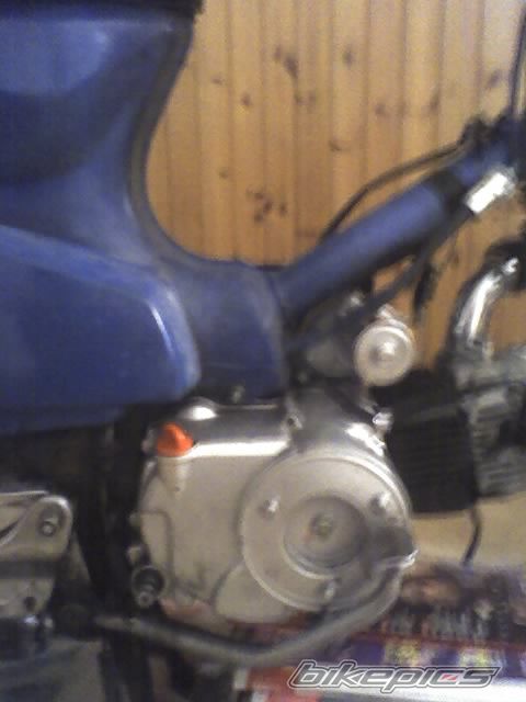 2007 HONDA GLX 50 | Picture 1078636 motorcycle photo