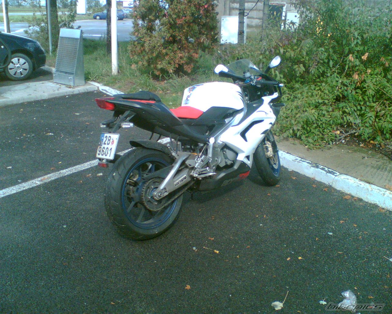 2006 APRILIA RS 125 | Picture 1078867 motorcycle photo