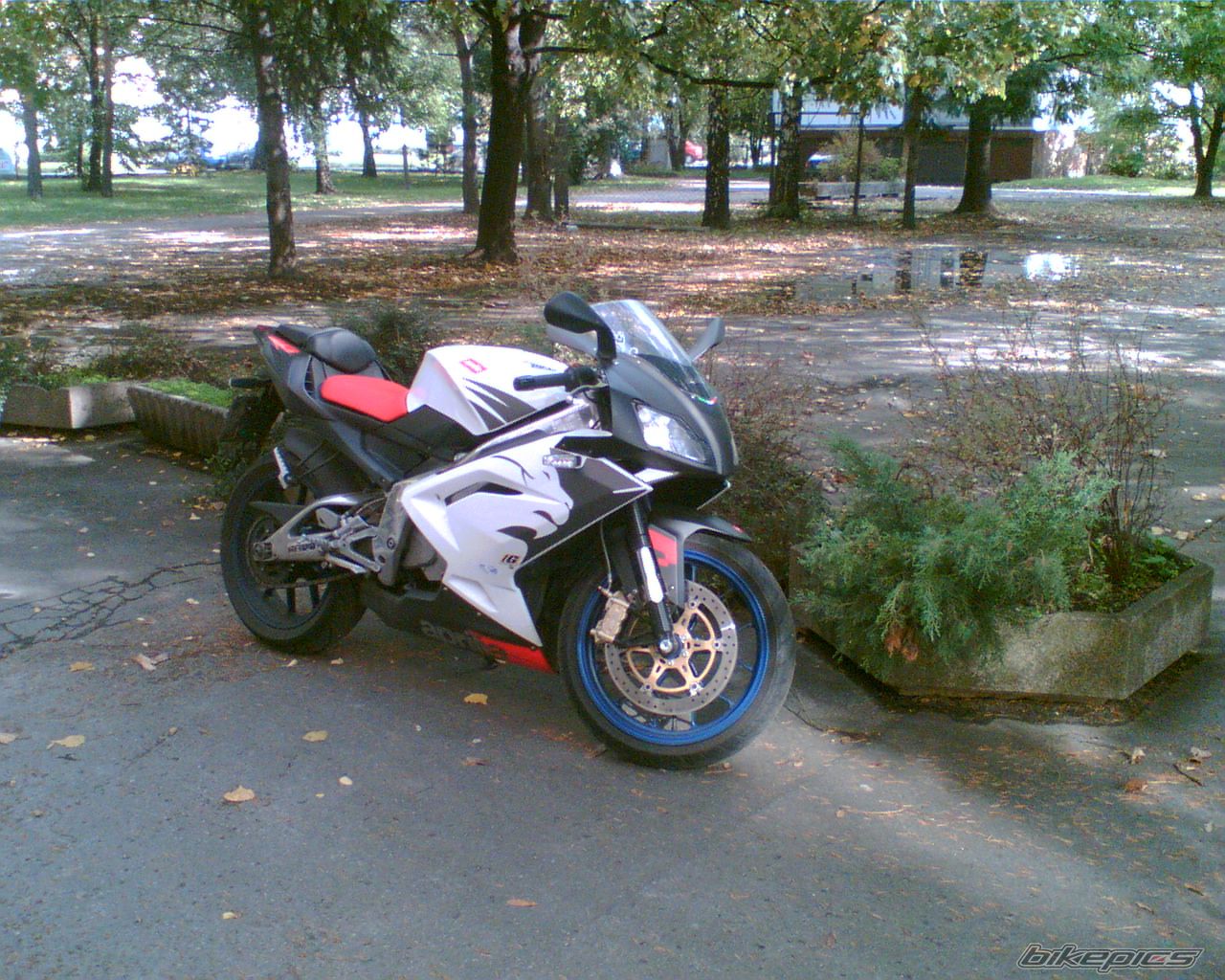 2006 APRILIA RS 125 | Picture 1078870 motorcycle photo
