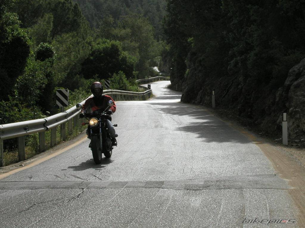1994 HONDA CB 500 | Picture 107895 motorcycle photo