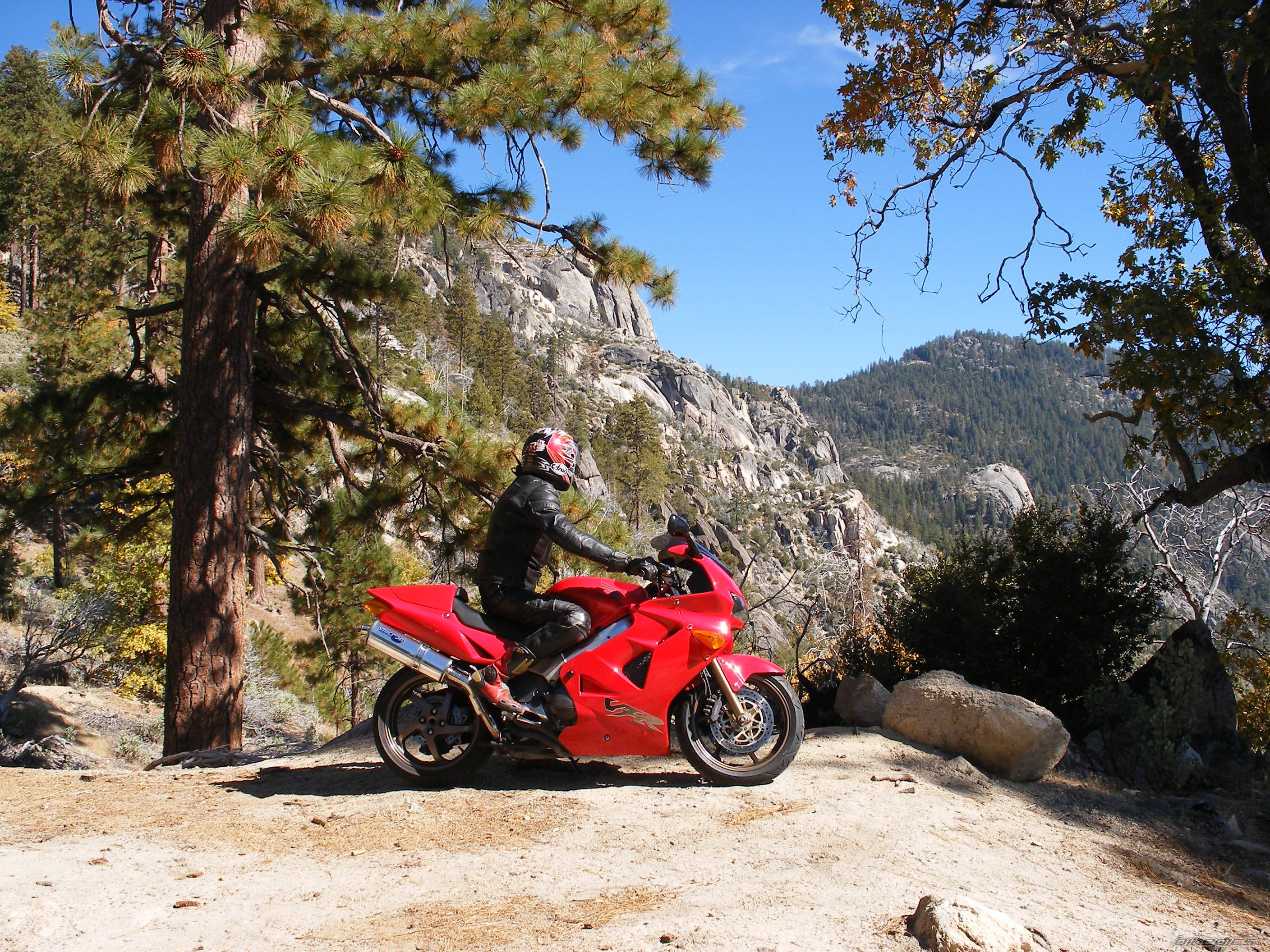 1998 HONDA VFR 800 | Picture 1079042 motorcycle photo