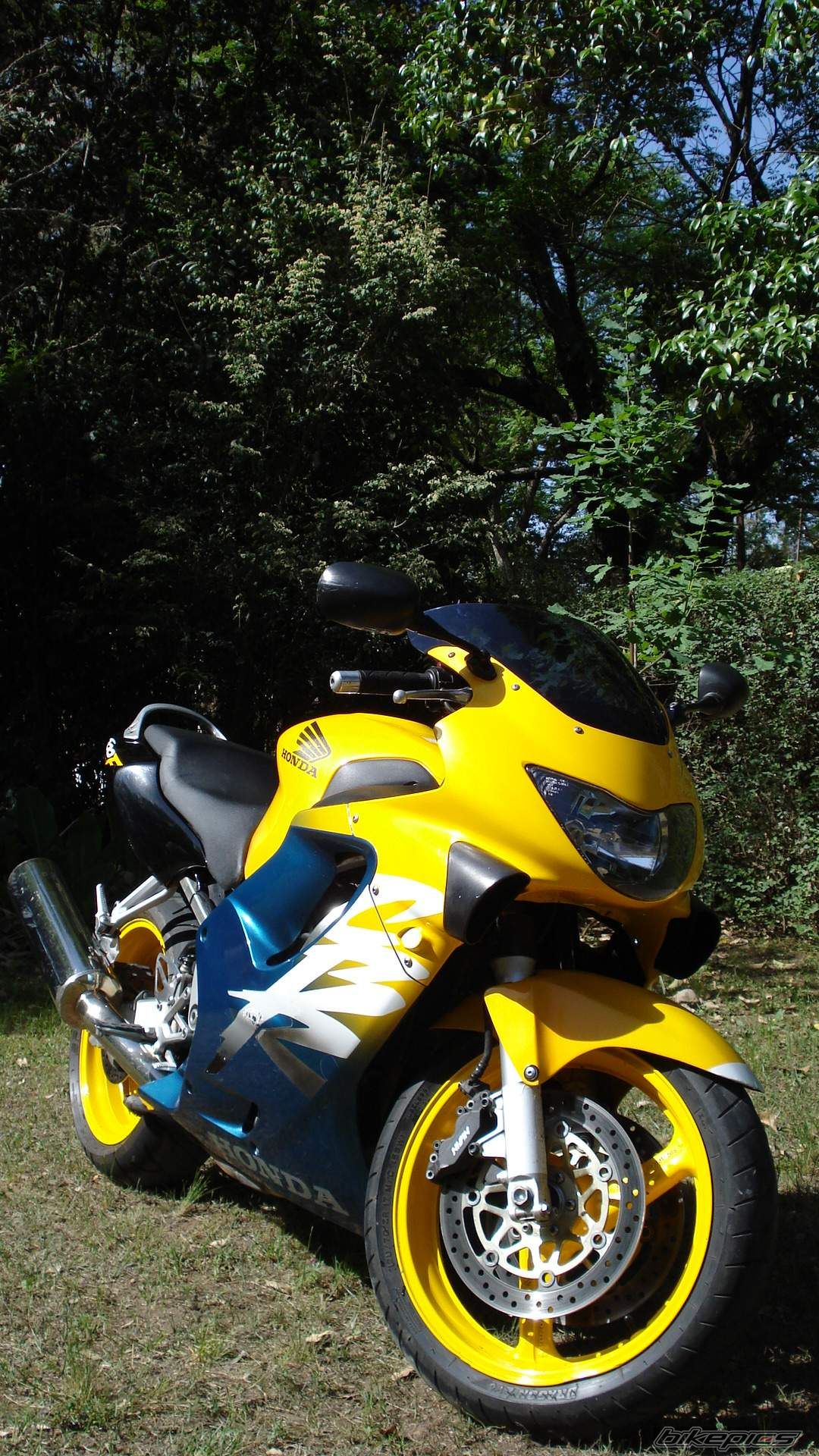 1999 HONDA CBR 600 | Picture 1079074 motorcycle photo