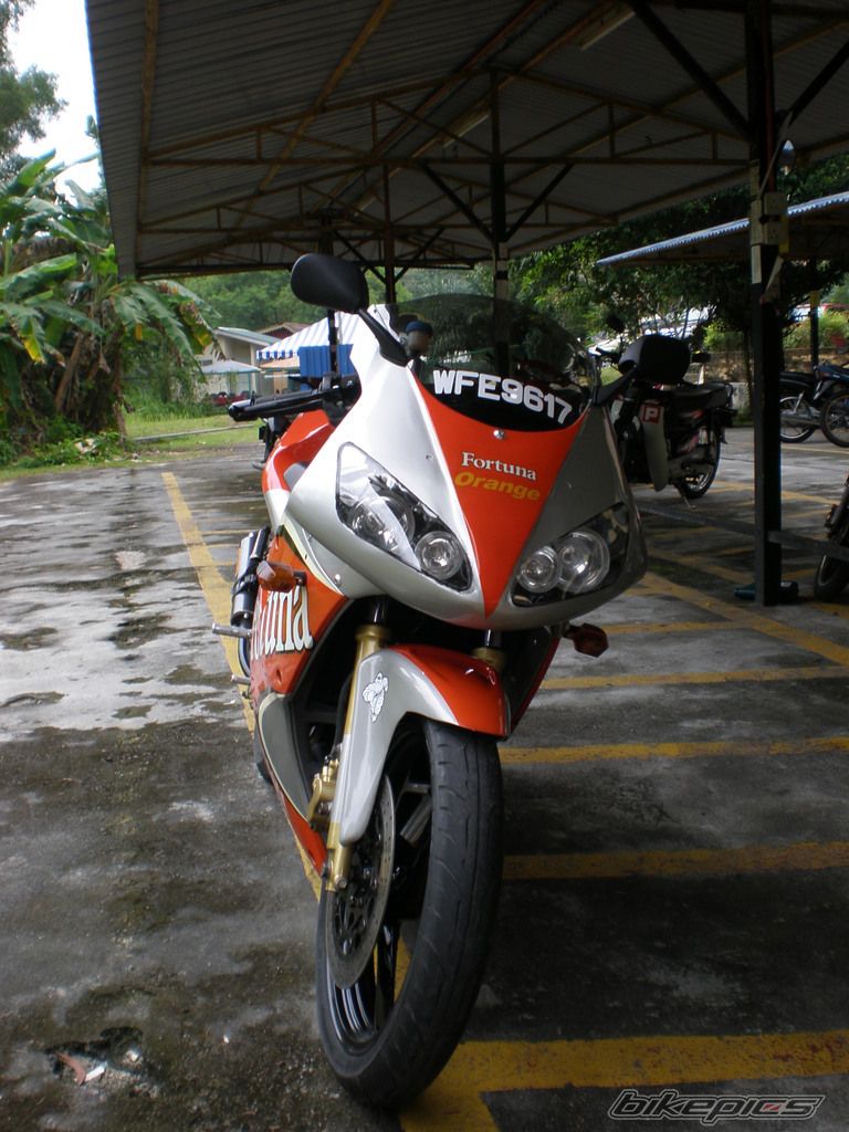 2007 YAMAHA TZM 150 | Picture 1079178 motorcycle photo