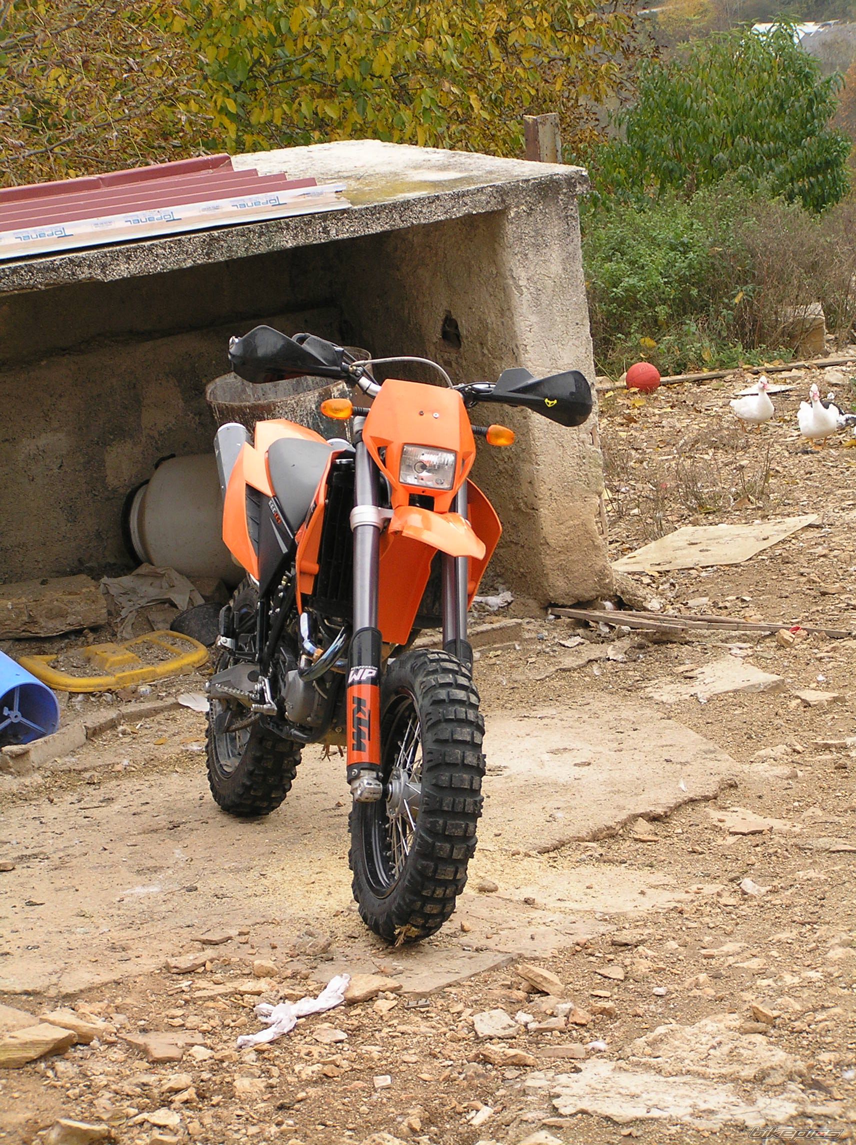 2006 KTM 660 SMC | Picture 1079237 motorcycle photo