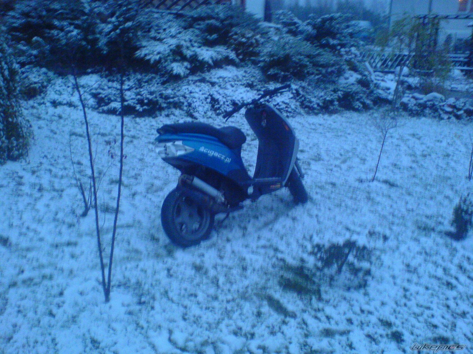 2002 DERBI ATLANTIS | Picture 1079447 motorcycle photo