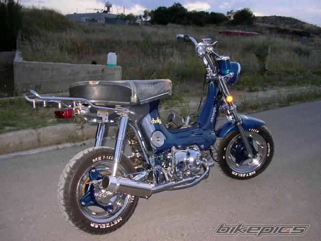 1998 HONDA CHALY | Picture 1080688 motorcycle photo
