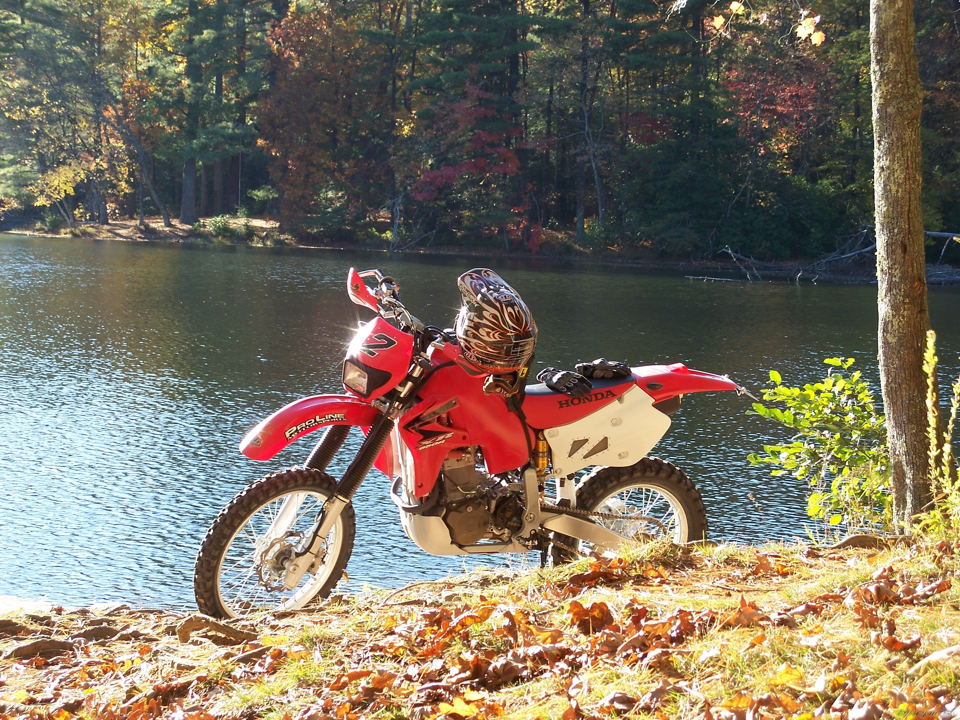 2007 HONDA XR 650 | Picture 1080832 motorcycle photo