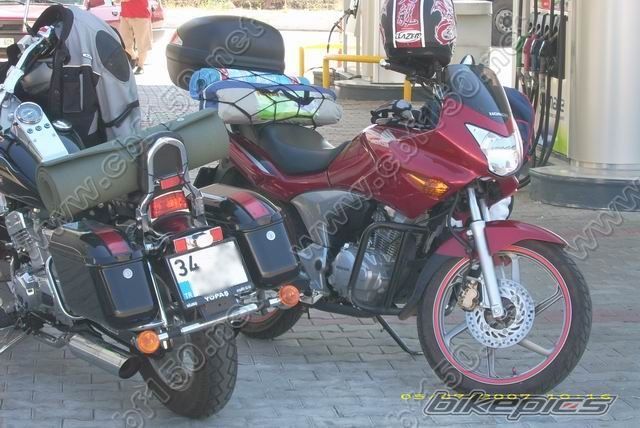 2007 HONDA CBF 150 | Picture 1080972 motorcycle photo