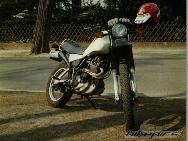 1983 YAMAHA XT 550 | Picture 1081526 motorcycle photo