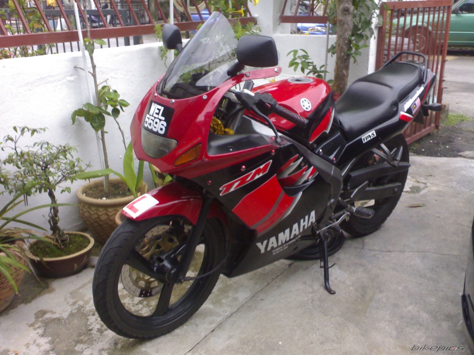 2008 YAMAHA TZM 150 | Picture 1081650 motorcycle photo