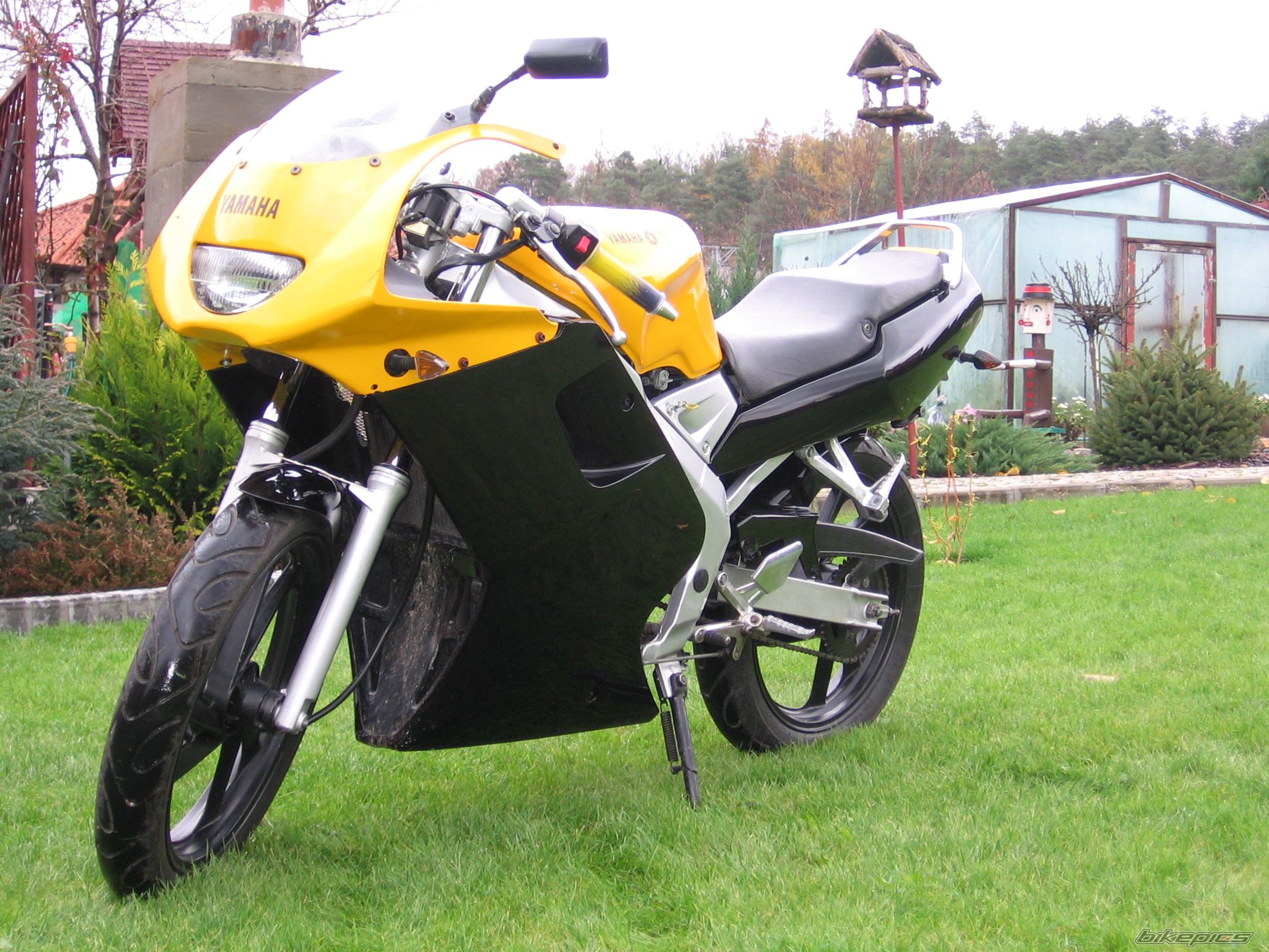 2003 YAMAHA TZR 50 | Picture 1081811 motorcycle photo