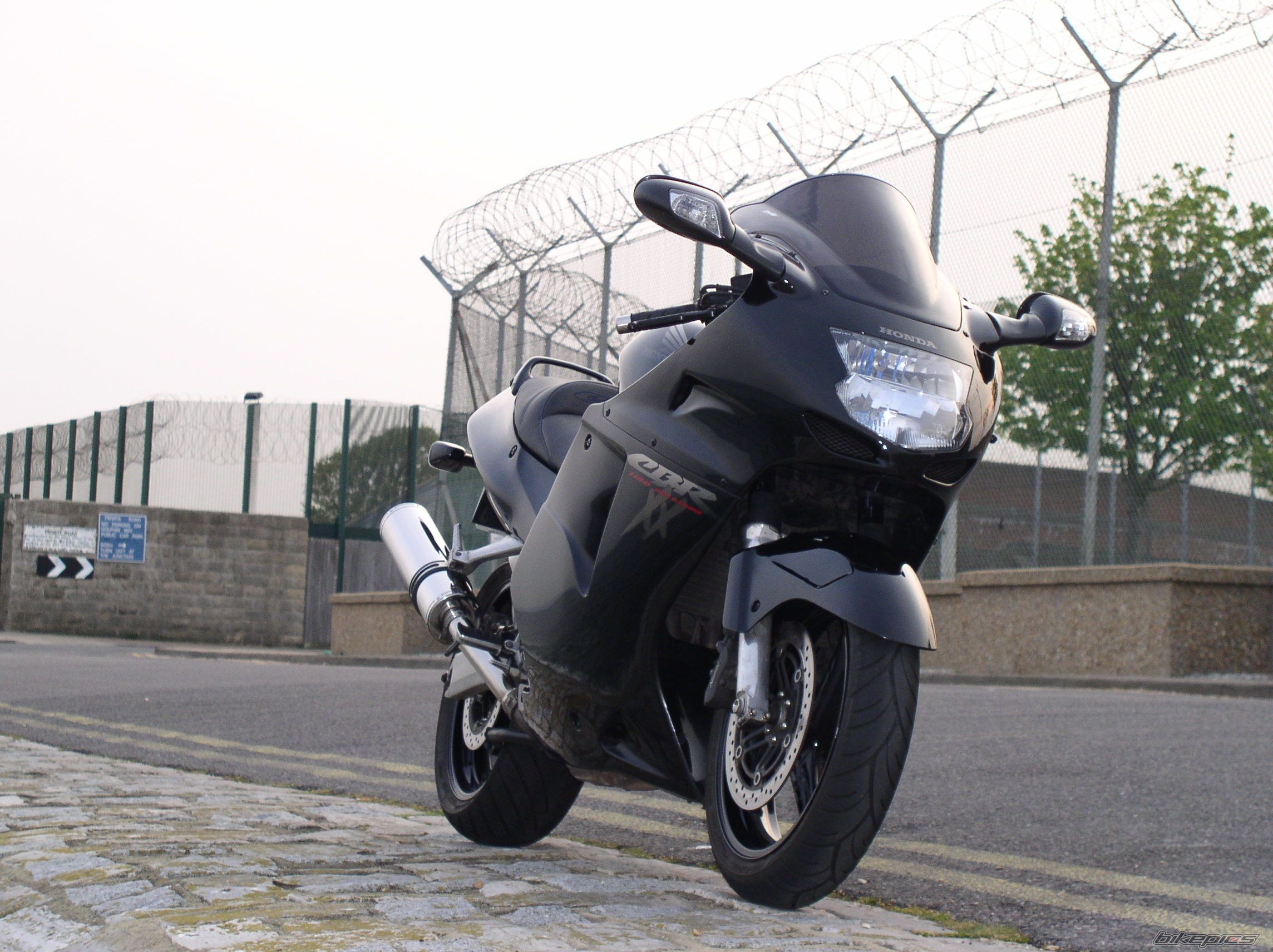 1998 HONDA CBR 1100 BLACKBIRD | Picture 1081930 motorcycle photo