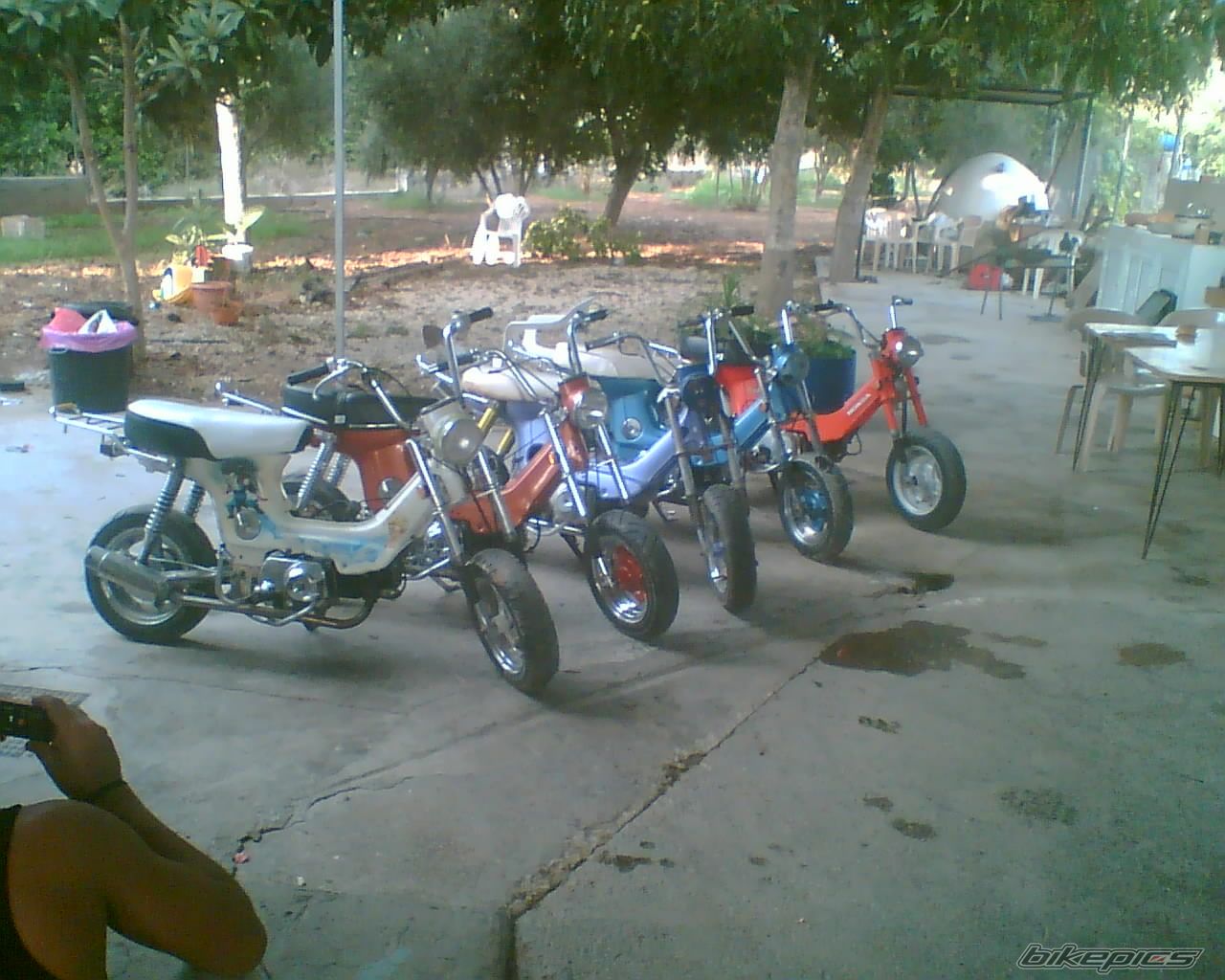 2007 HONDA CHALY | Picture 1081969 motorcycle photo
