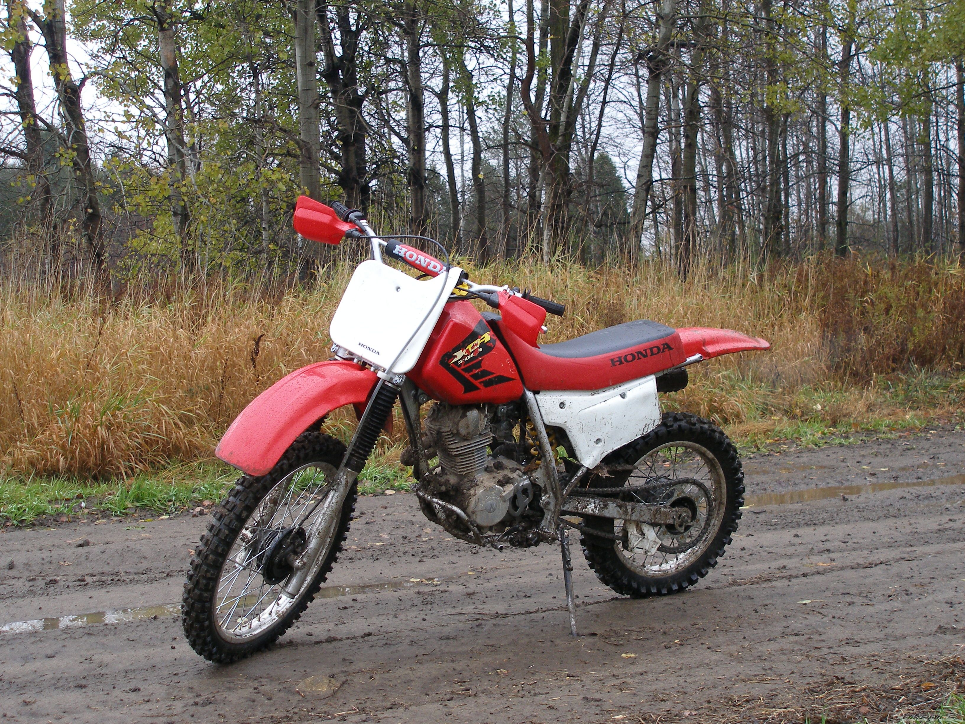 2002 HONDA XR 200 | Picture 1082499 motorcycle photo