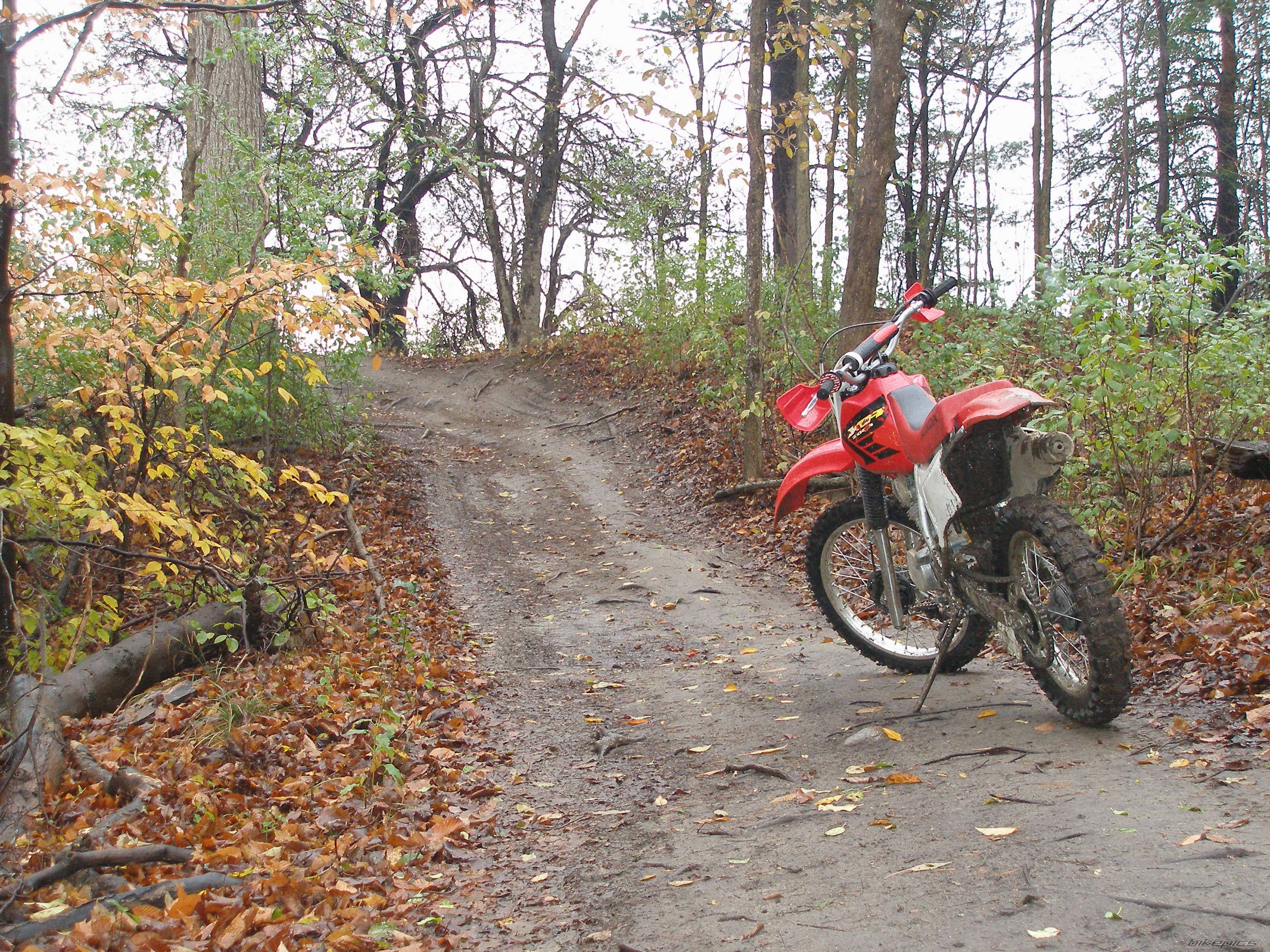 2002 HONDA XR 200 | Picture 1082501 motorcycle photo