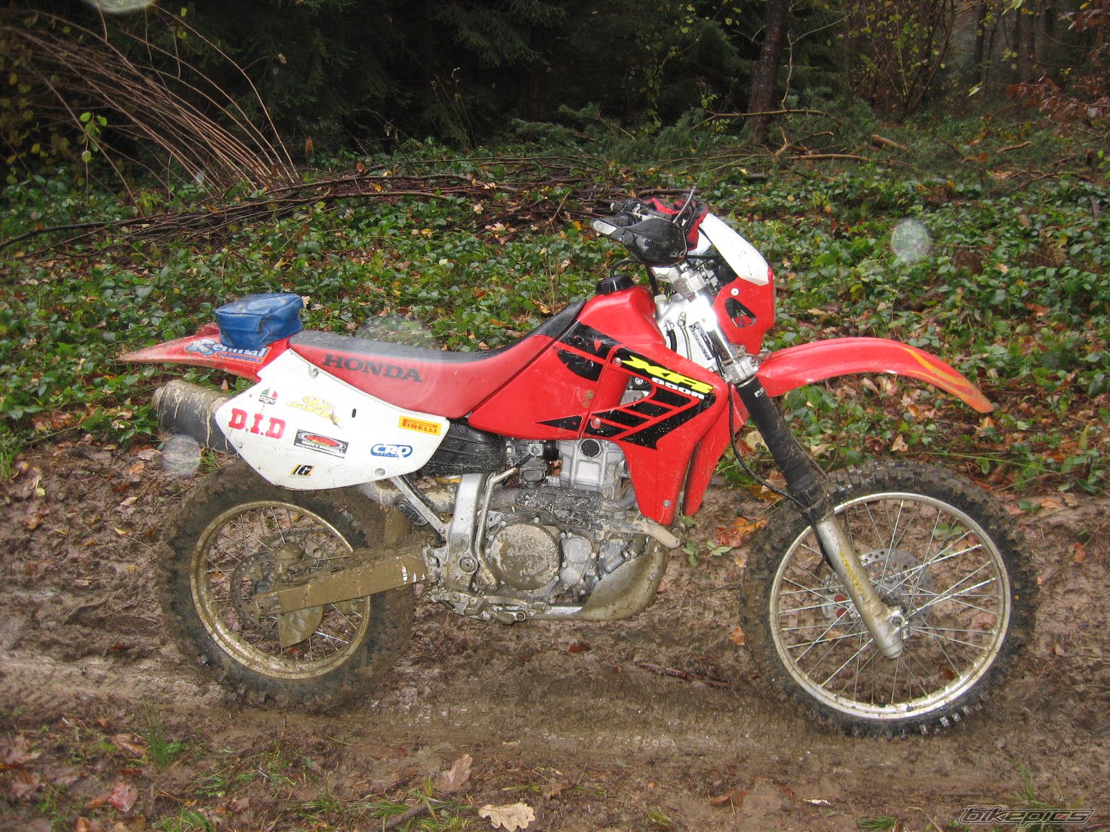 2002 HONDA XR 650 | Picture 1082667 motorcycle photo