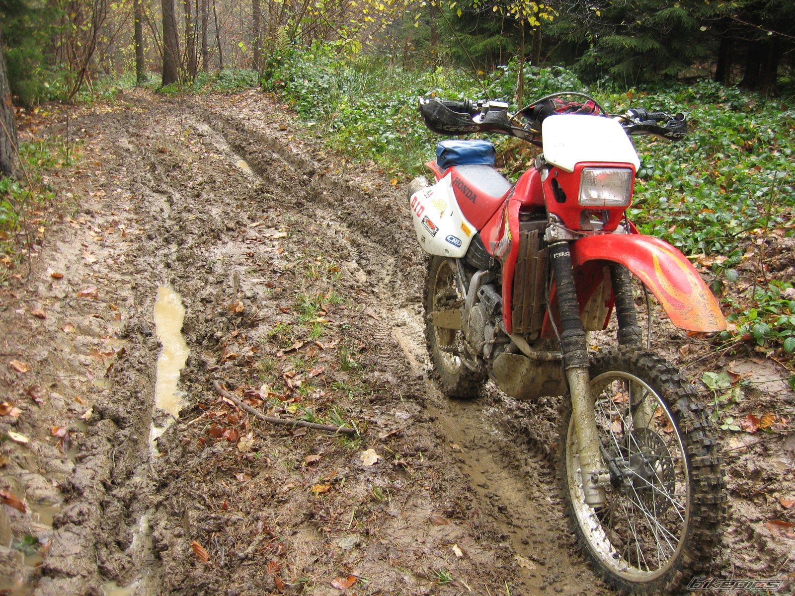 2002 HONDA XR 650 | Picture 1082669 motorcycle photo
