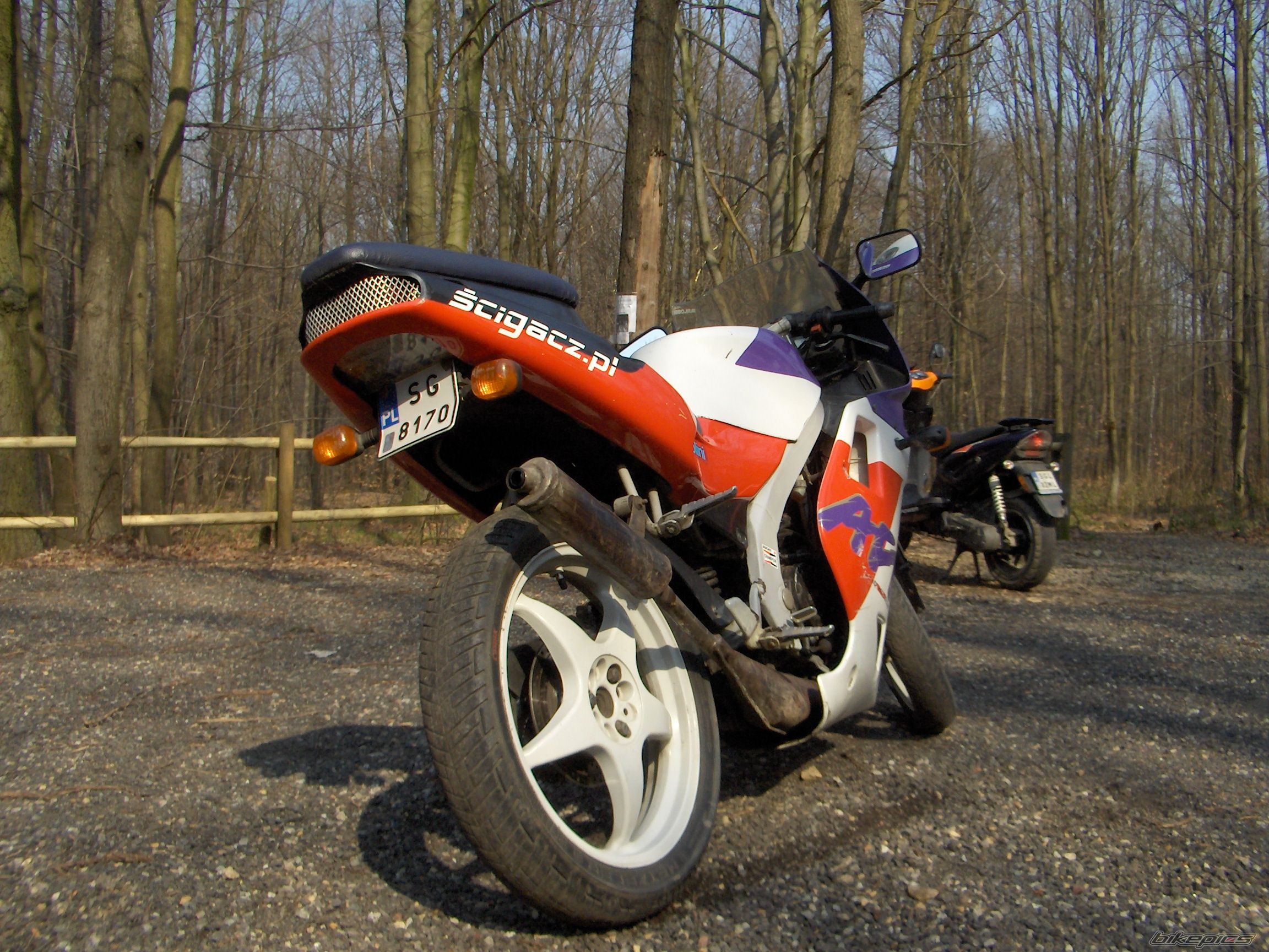 1992 APRILIA AF1 FUTURA 50 | Picture 1083313 motorcycle photo