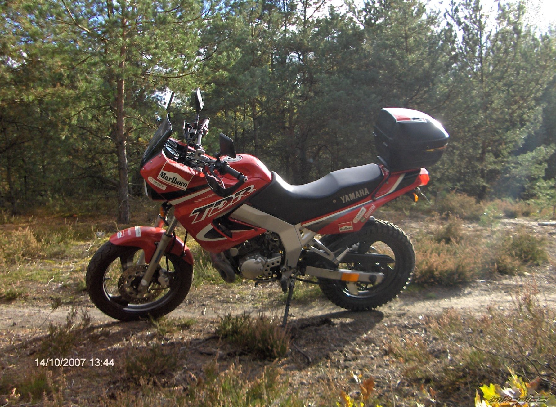 1997 YAMAHA TDR 125 | Picture 1083918 motorcycle photo