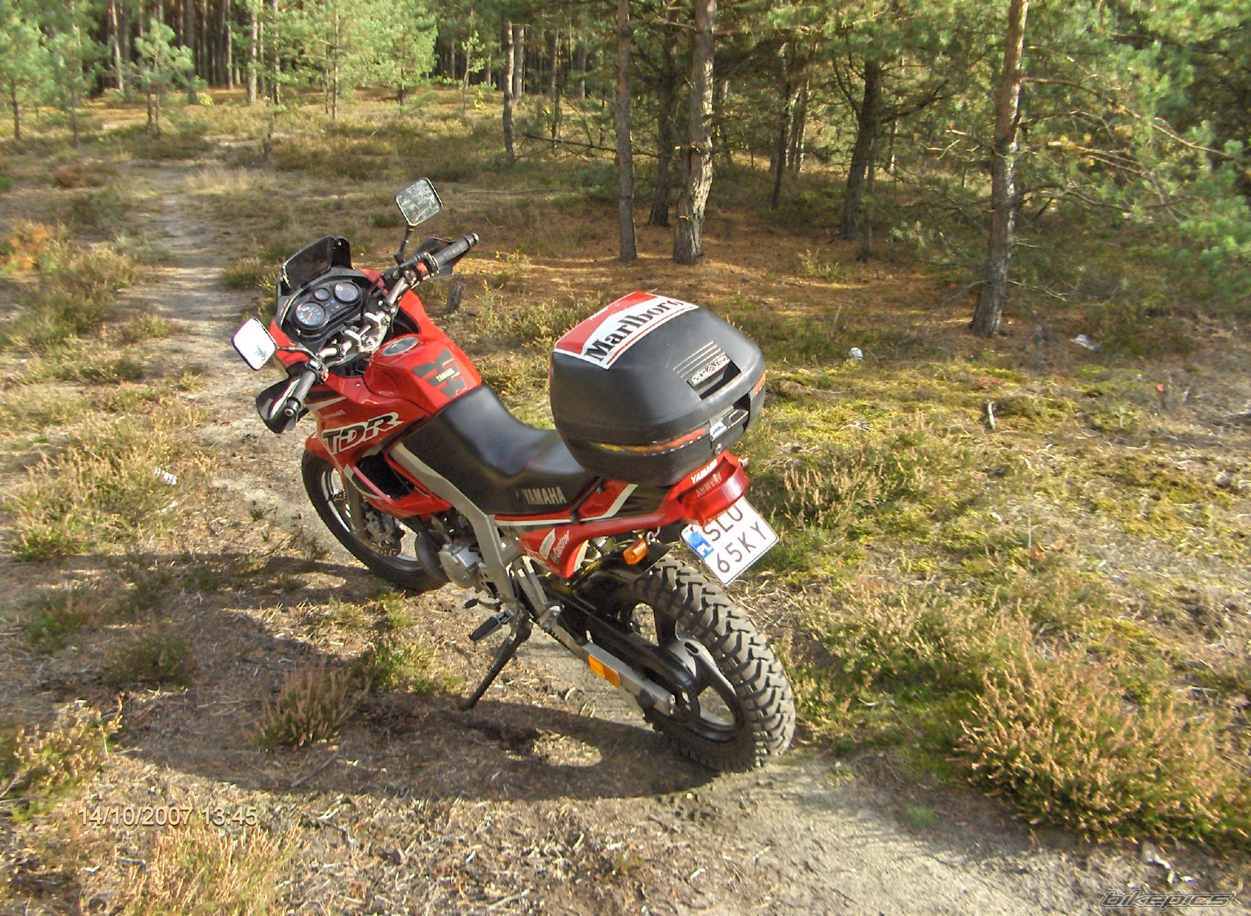 1997 YAMAHA TDR 125 | Picture 1083936 motorcycle photo