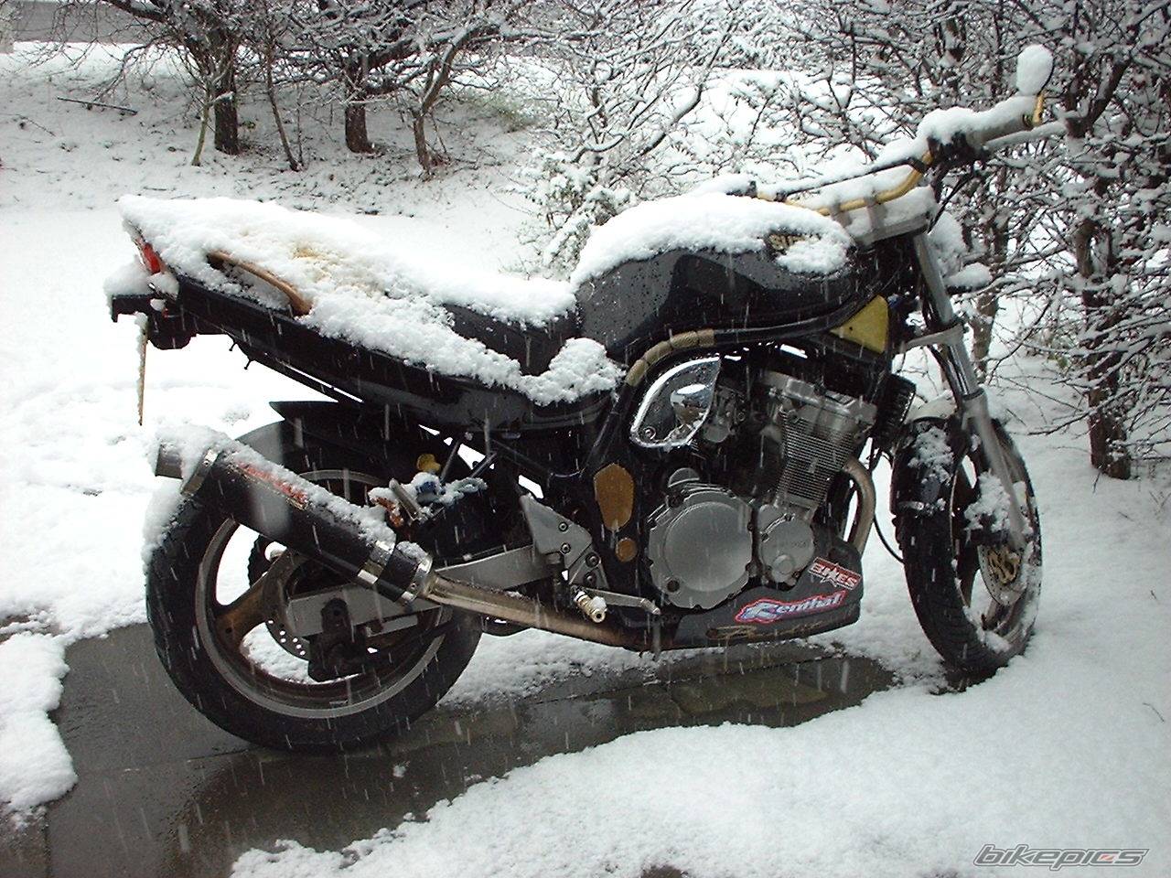 1999 SUZUKI BANDIT 600 | Picture 108467 motorcycle photo