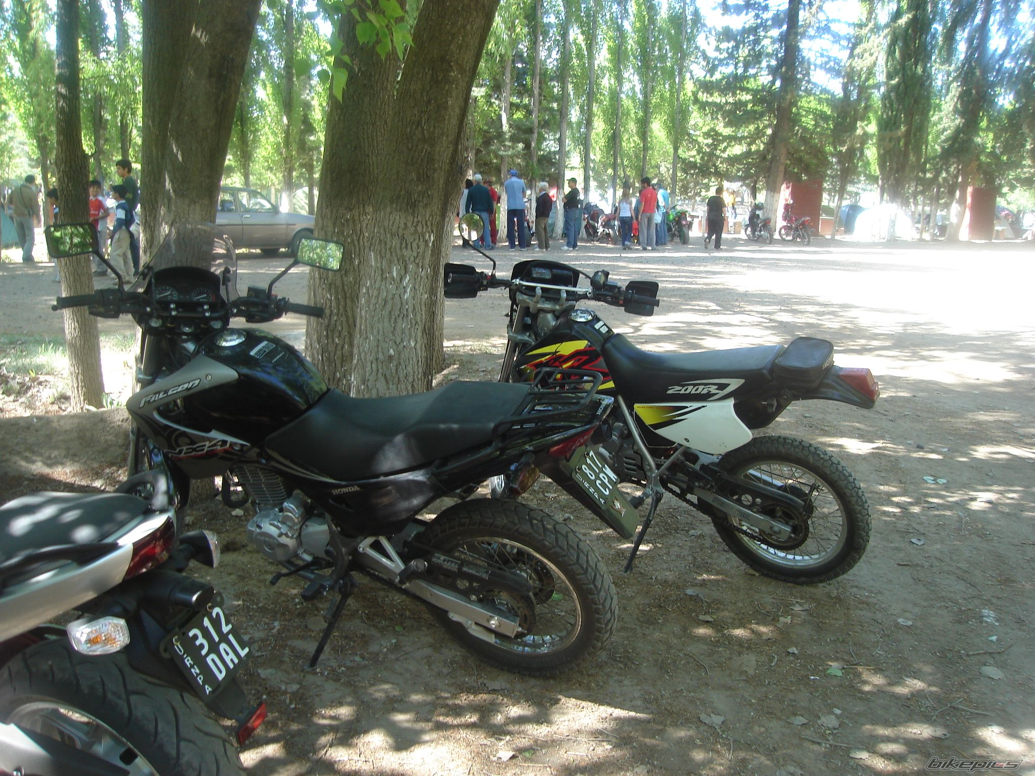 2006 HONDA NX 4 FALCON | Picture 1084837 motorcycle photo
