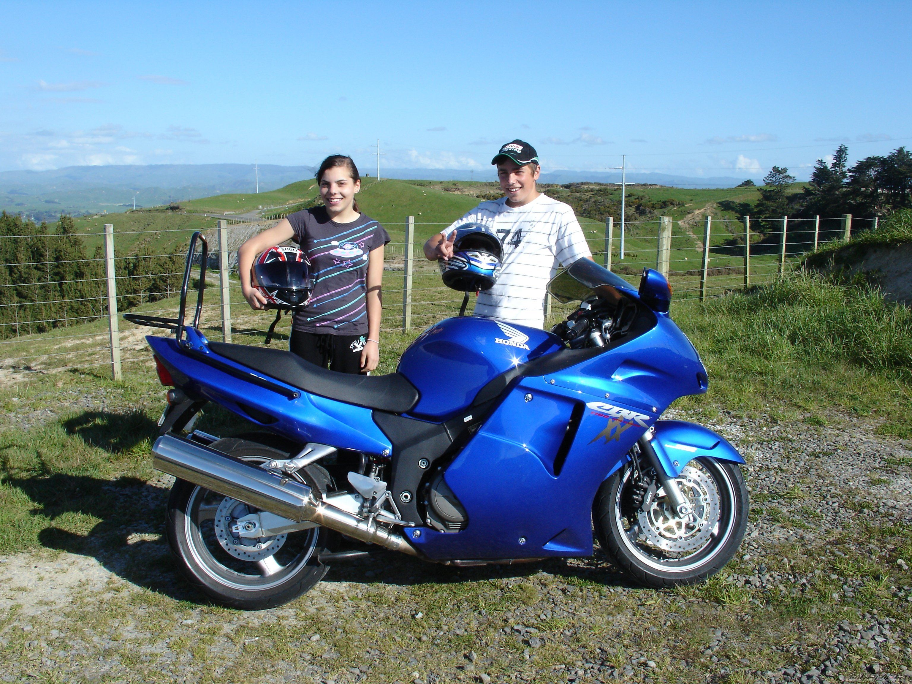 2003 HONDA CBR 1100 BLACKBIRD | Picture 1085111 motorcycle photo