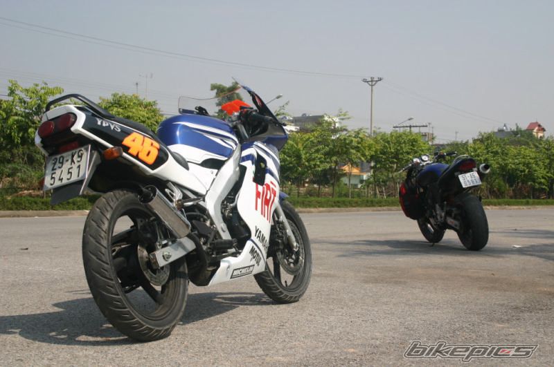 2008 YAMAHA TZM 150 | Picture 1085299 motorcycle photo