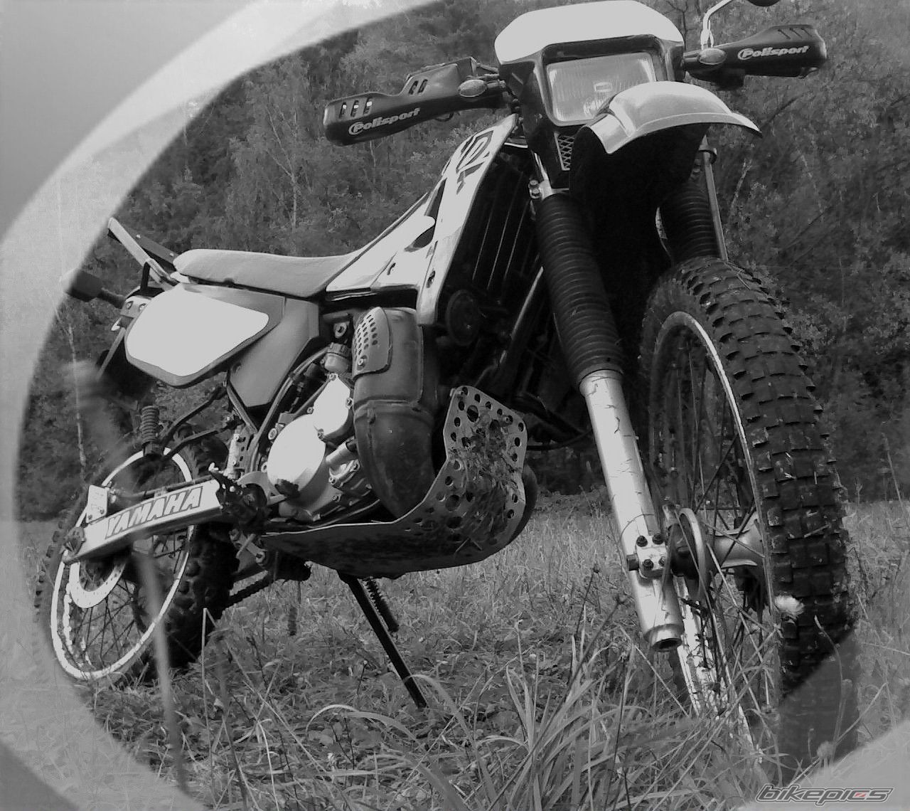 1999 YAMAHA DT 125 | Picture 1085372 motorcycle photo