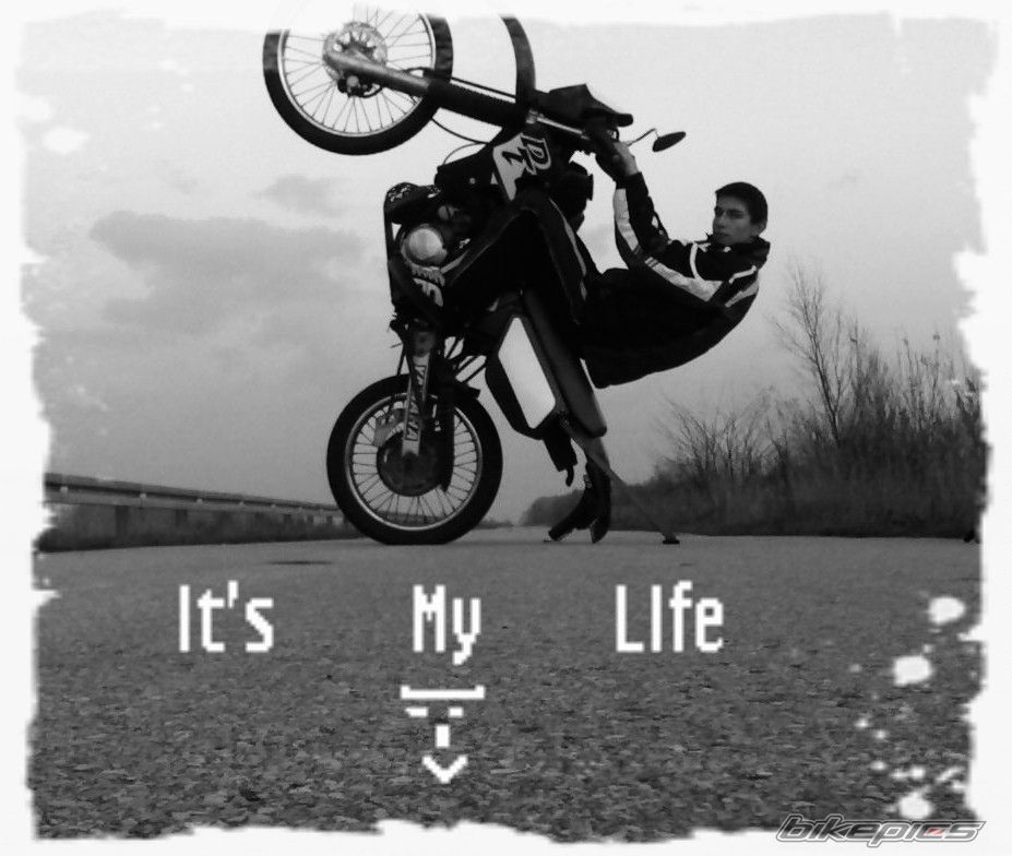 1999 YAMAHA DT 125 | Picture 1085375 motorcycle photo