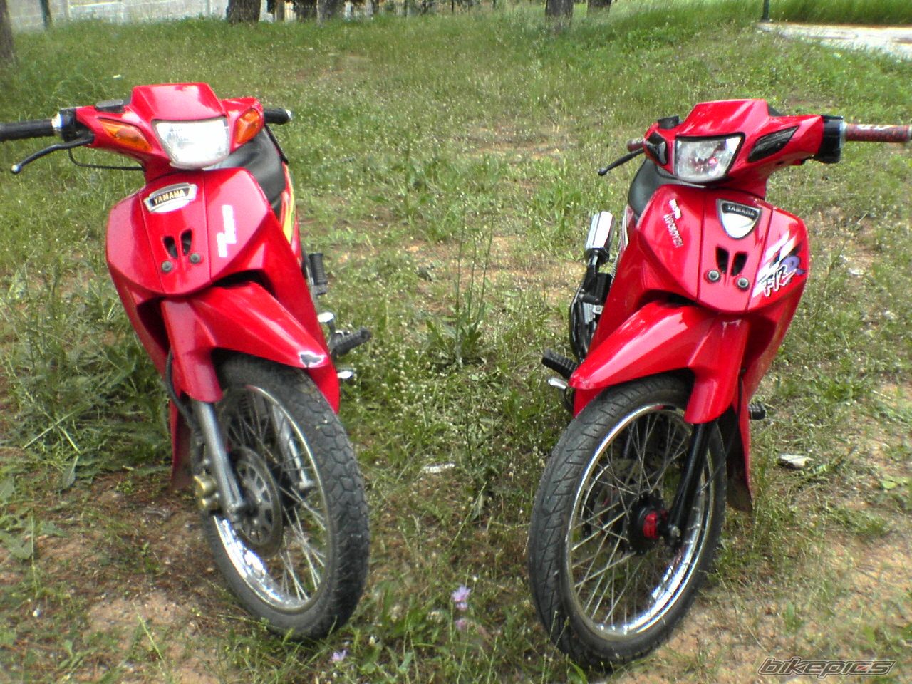 2006 YAMAHA CRYPTON R 04 | Picture 1085429 motorcycle photo