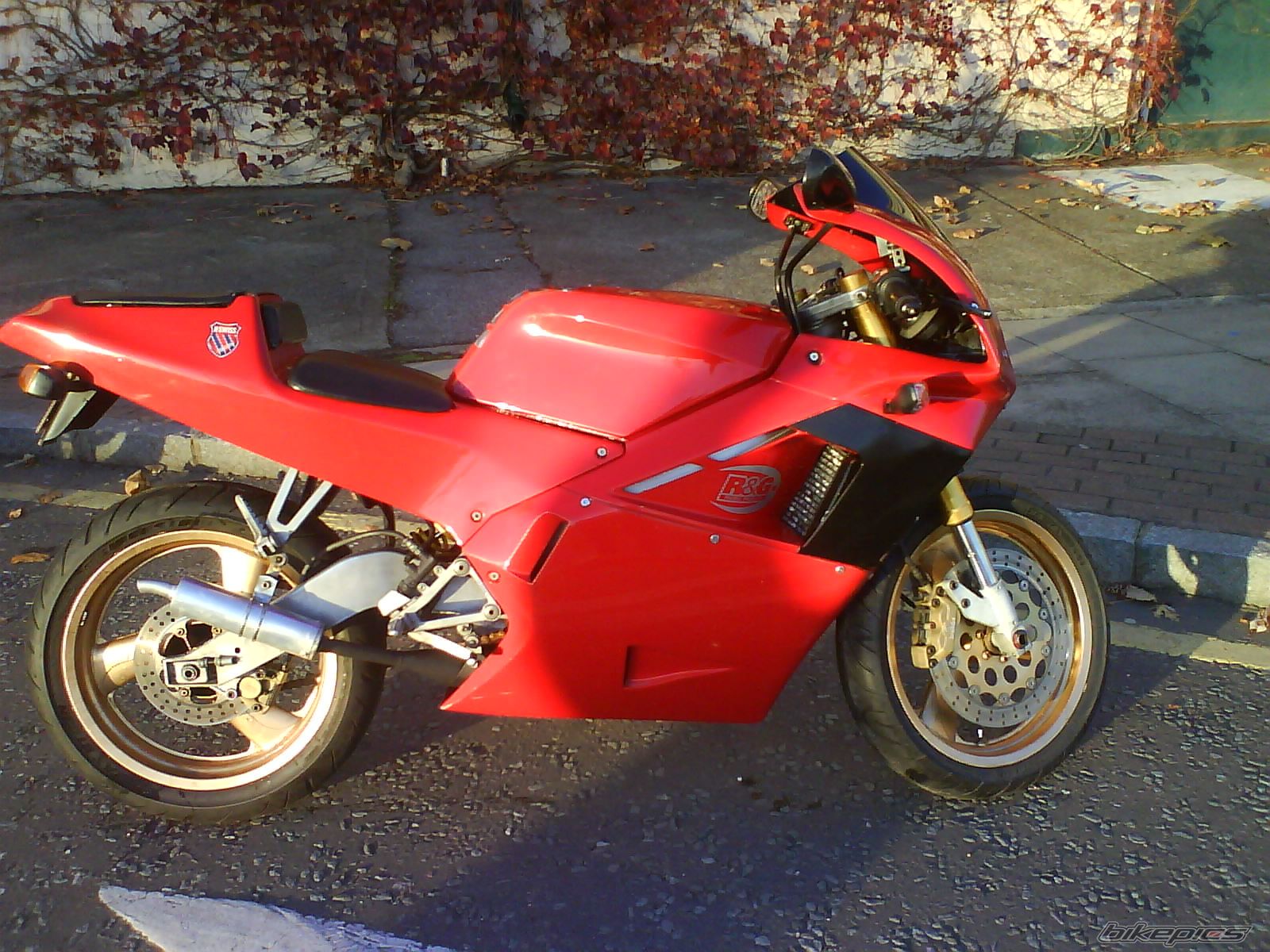 1993 CAGIVA MITO 125 | Picture 1085496 motorcycle photo