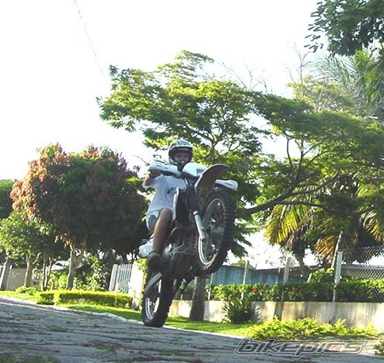 2002 HONDA XR 250 | Picture 108602 motorcycle photo