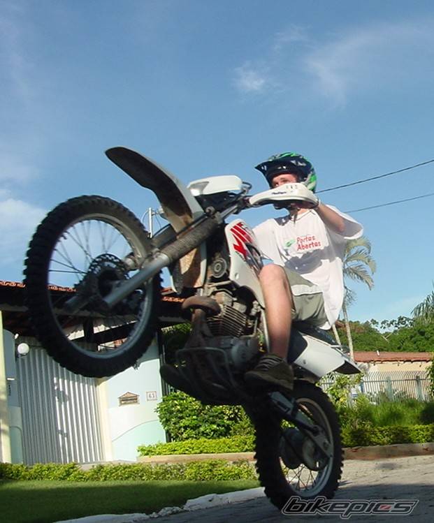 2002 HONDA XR 250 | Picture 108603 motorcycle photo