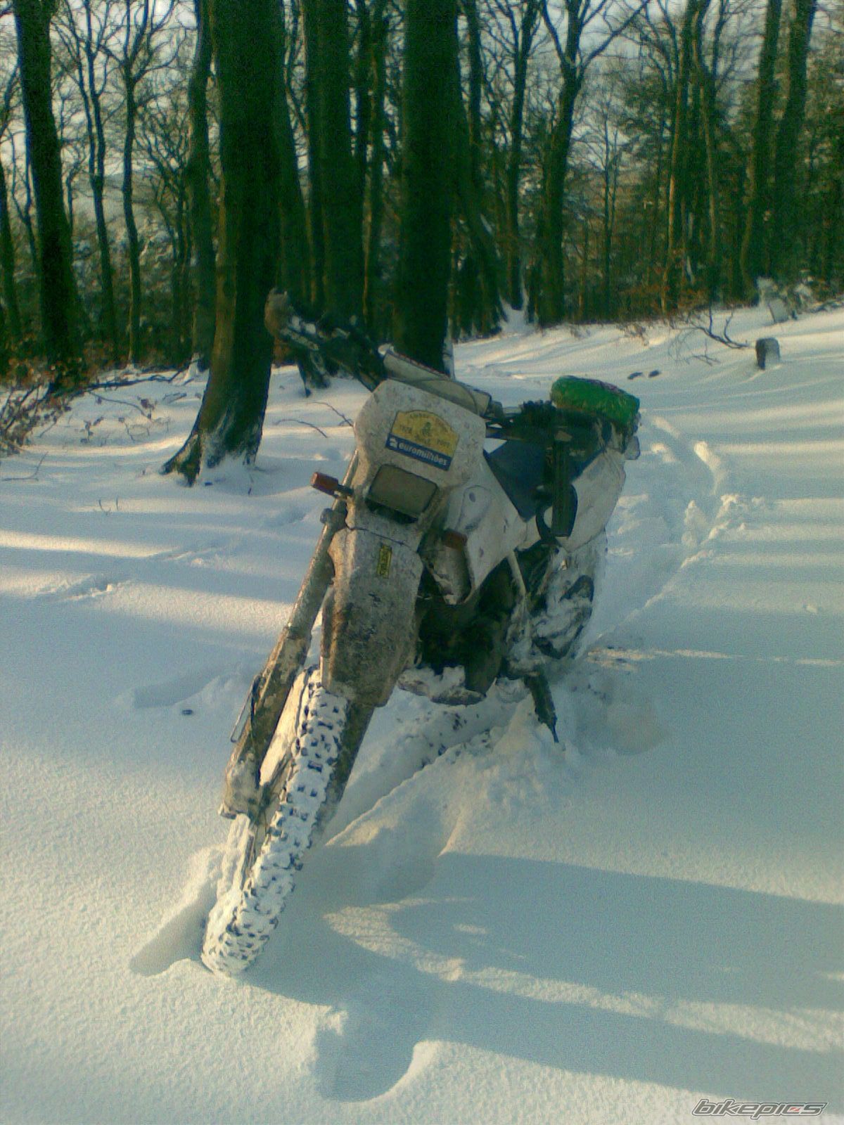 1993 YAMAHA TTR 600 | Picture 1086127 motorcycle photo