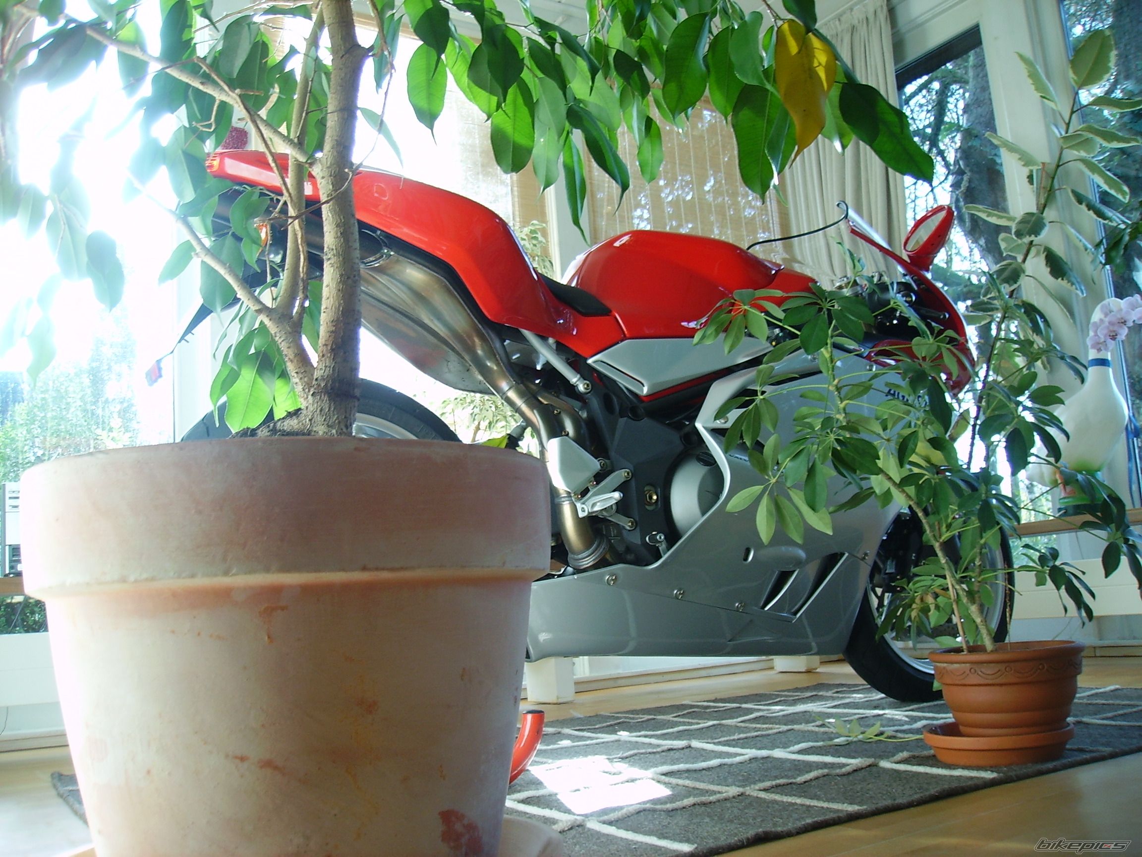 2005 MV AGUSTA F4 S | Picture 1086600 motorcycle photo