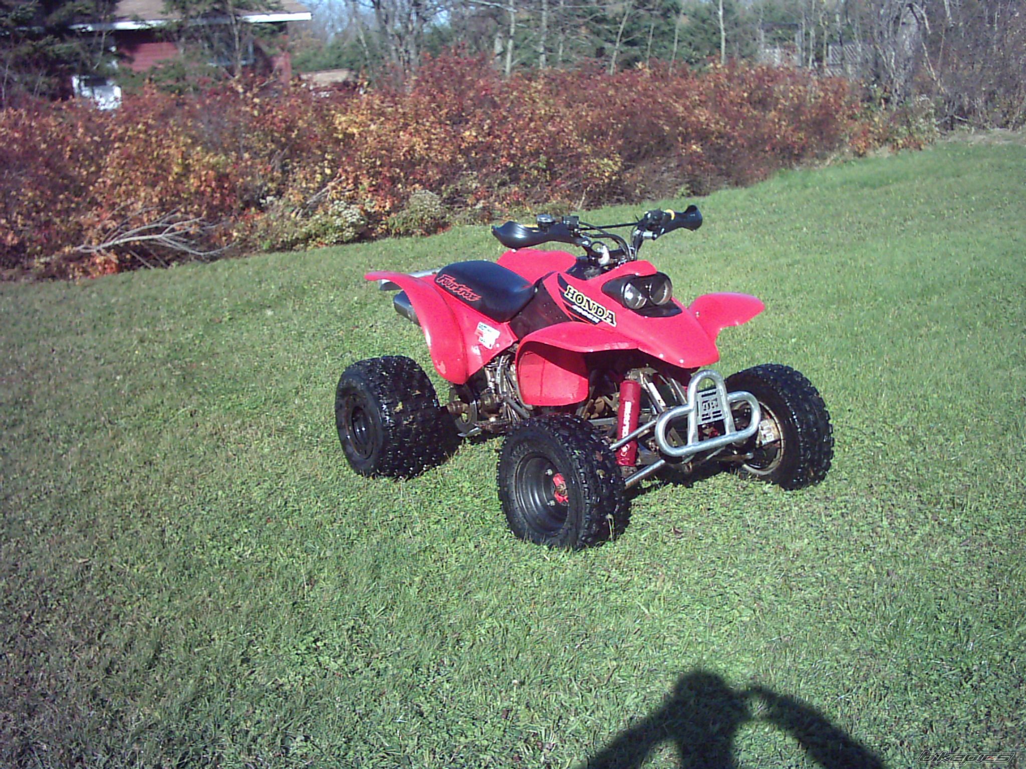 1999 HONDA 300EX | Picture 1088561 motorcycle photo