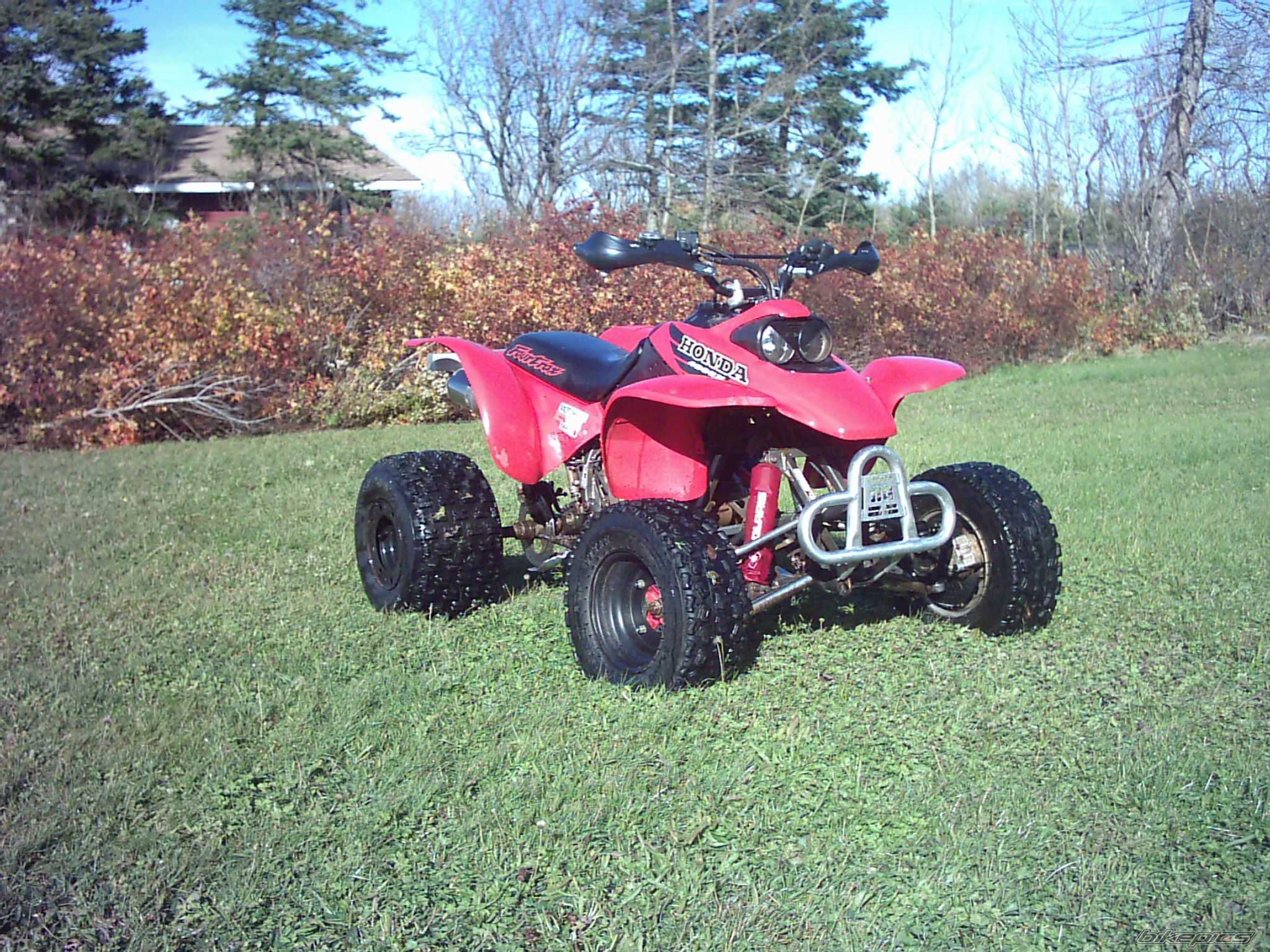 1999 HONDA 300EX | Picture 1088562 motorcycle photo