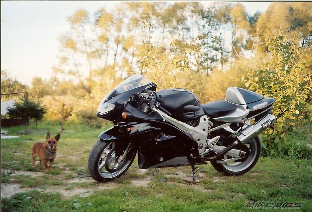 1998 SUZUKI TL1000R | Picture 1088867 motorcycle photo