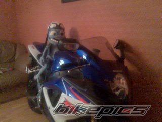 2007 SUZUKI GSX R 600 | Picture 1090162 motorcycle photo